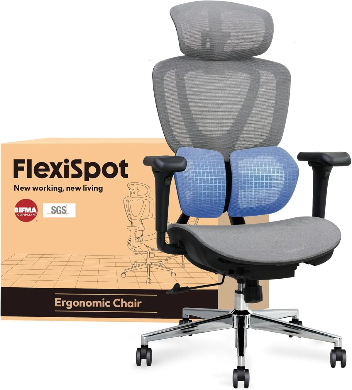 Chaise Ergonomique FLEXISPOT C5 avec Support Lombaire et Appui-tête 3D, Gris